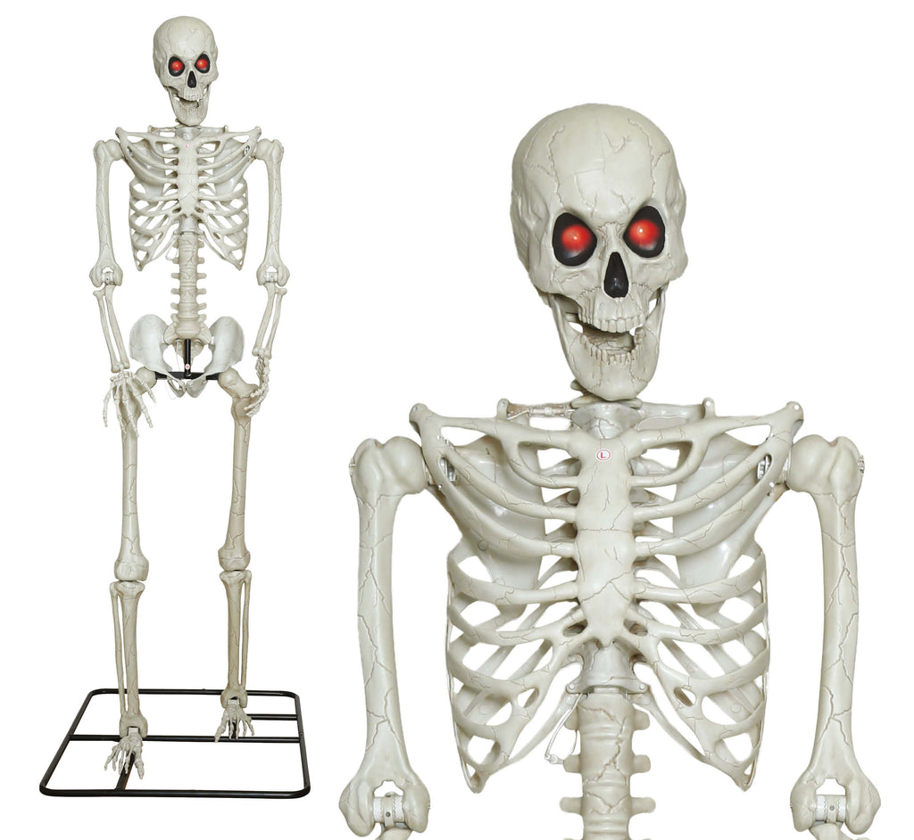 3.1m Giant Skeleton with Light up Eyes