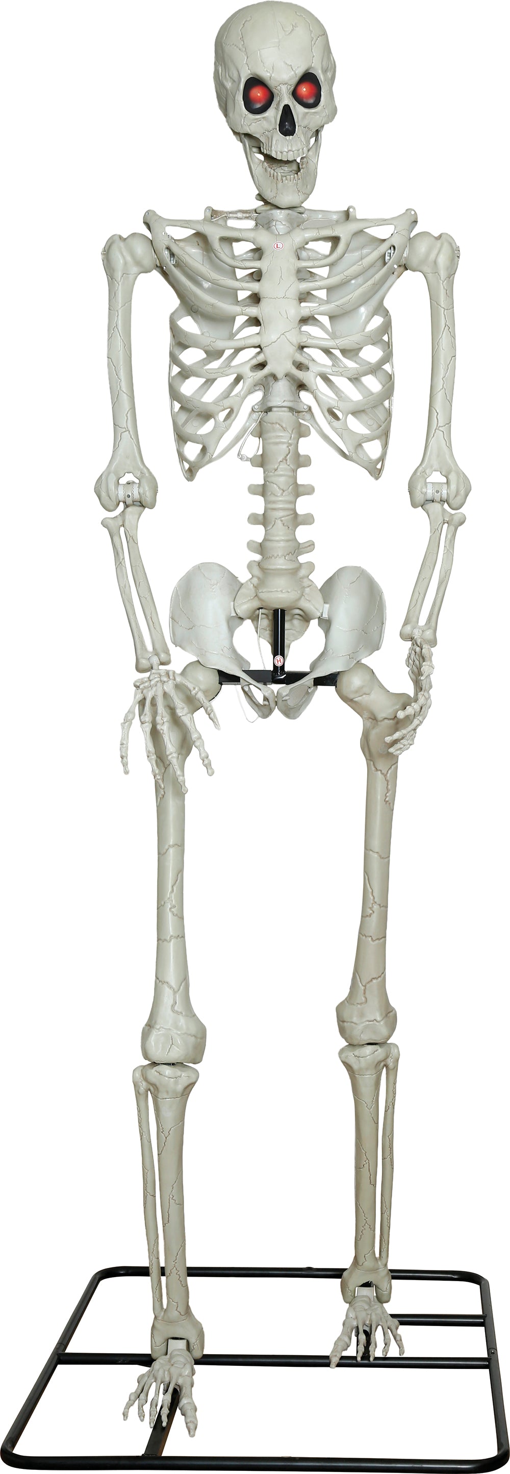 3.1m Giant Skeleton with Light up Eyes