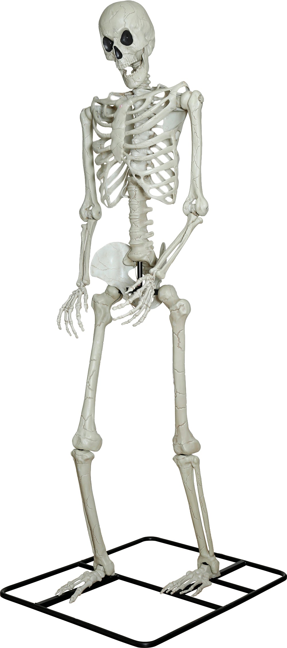 3.1m Giant Skeleton with Light up Eyes