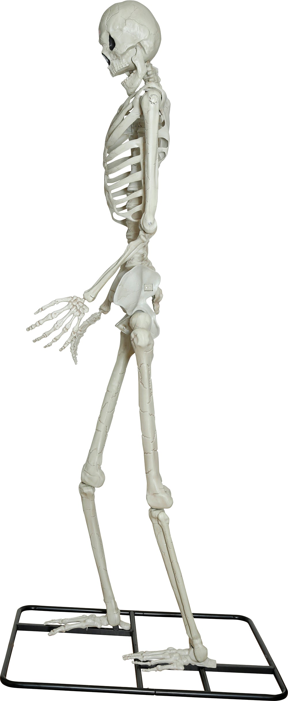 3.1m Giant Skeleton with Light up Eyes