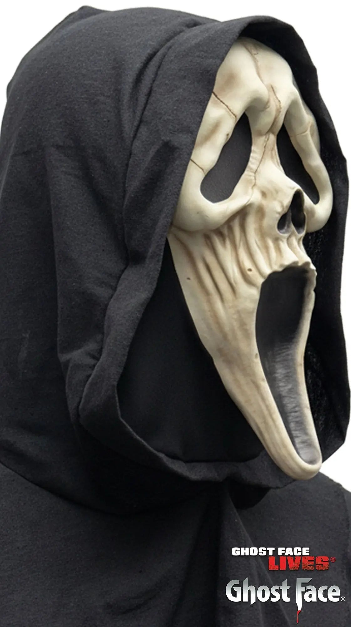 Ghost Face® Reaper Mask
