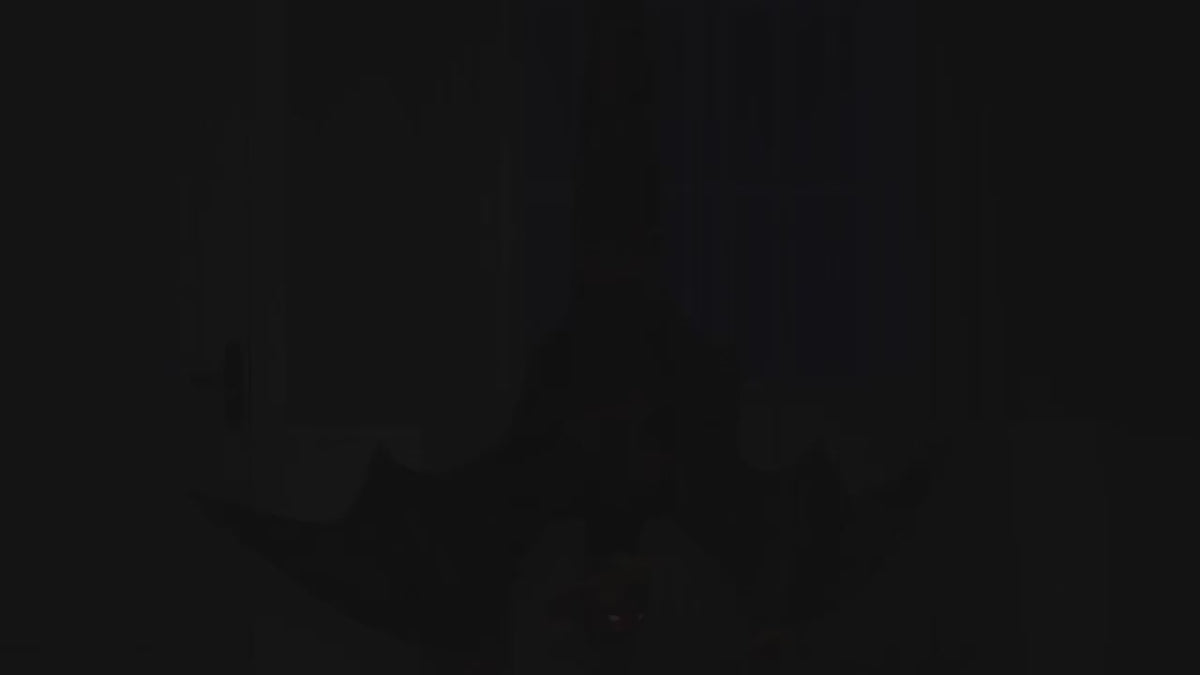 Animated Light-Up Hanging Menacing Bat with Sound Decoration