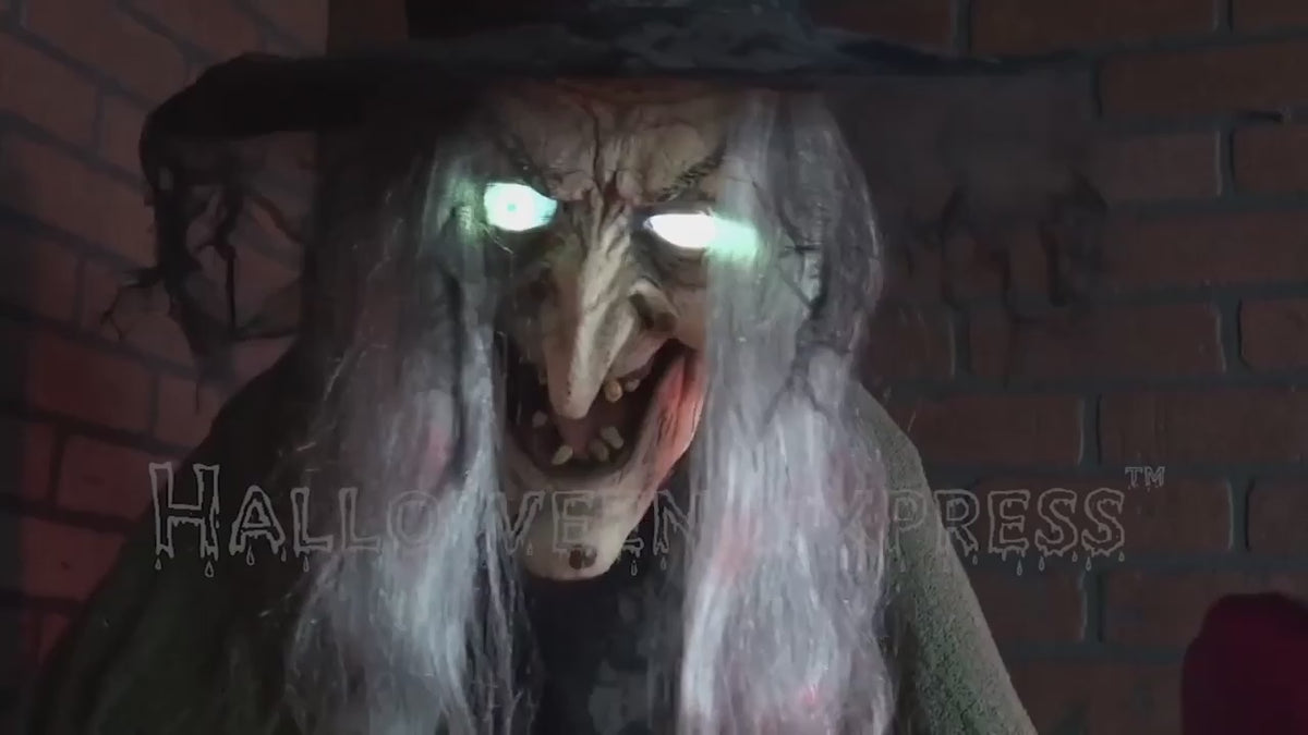 6.5 Ft. Stew Brewing Witch Animated Prop
